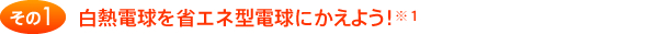 その1 白熱電球を省エネ型電球にかえよう！