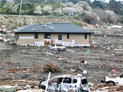 被災地の今を知る